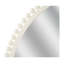 Tacna Mirror