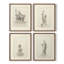 Vintage Sketch CVIII  Framed Print - Set of 4-1858929340-1858929339