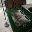 Customer photo 5 of 5