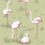 Flamingos Wallpaper Roll