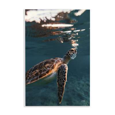 «Blowing Bubbles Turtle» par Max Blakesberg Studios