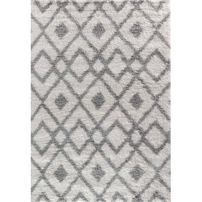 Temescal Geometric Shag Area Rug