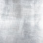 Silver Leaf