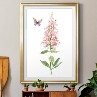 " Wildflower Botanical II " Painting Print