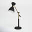 Bimini Adjustable Metal Desk Lamp