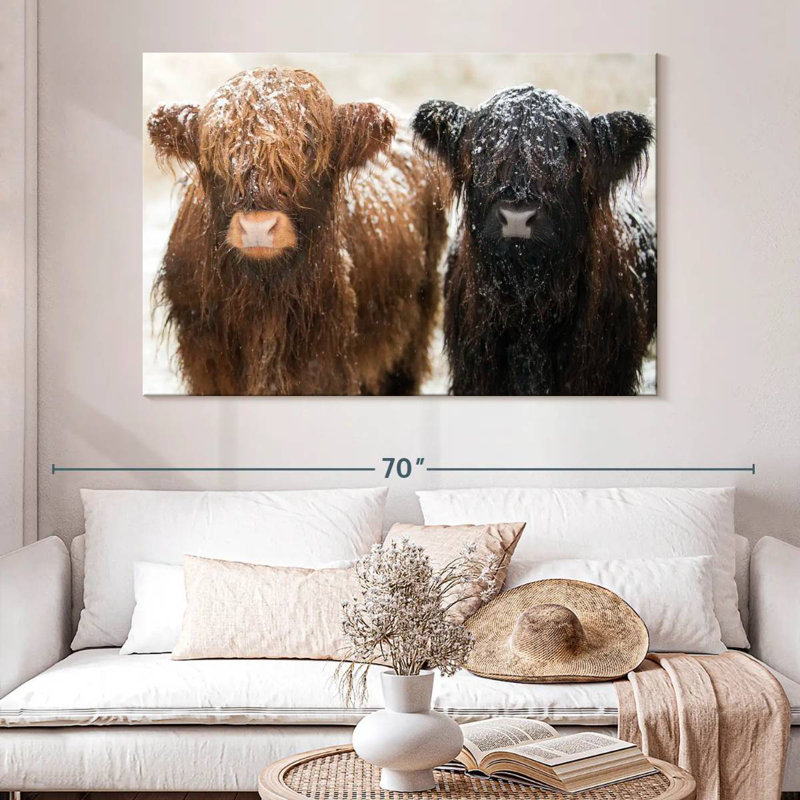 Brampt Hairy Highland Cows, 34" H x 51" W