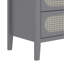 Arthen Rattan 4 Drawer Chest of Drawer-115334304