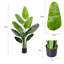 Faux bananier en pot noir avec mousse séchée-2005671169-2005671182