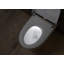 Blue Elephant 6L LPF Elongated Chair Height Floor Mounted Bidet Toilet (Seat Included)