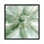 Macro Sage Flower I by Carol Robinson - Wrapped Canvas Painting-343693116-343693091
