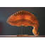 Dragon'S Tail Table Lamp