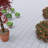  Deck Tiles - 6-Pack Polypropylene Interlocking Patio Tiles - Weather-Resistant Outdoor Flooring for Balcony, Porch, and Garage by Pure Garden 