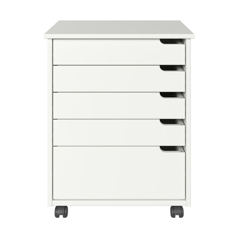 Ririe 5 Drawer Storage Drawer