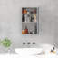 Stainless Steel Wall Mounted Bathroom Cabinet
