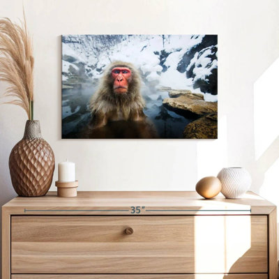 Brampt Serious Japanese Snow Monkey