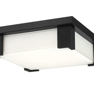Eurofase Thornhill 12 po de large plafonnier encastré d'extérieur à DEL en noir