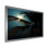«Sapphire Solitude Palm Serenity» sur impression sur toile