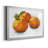 Citrus Grouping I - Matted and Framed Under Acrylic Glass, Set of 2, Large Living Room Wall Art-219169706-219169701