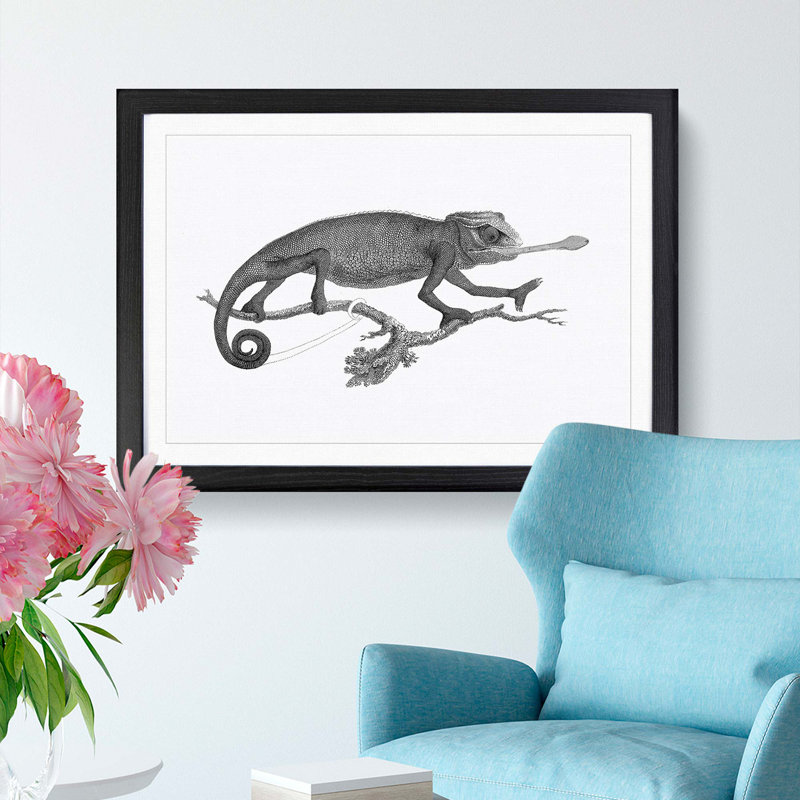 Chameleon in Black & White by George Shaw - Framed Print, 36cm H x 48cm W x 2cm D, Black Framed