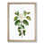 Oak Framed selected