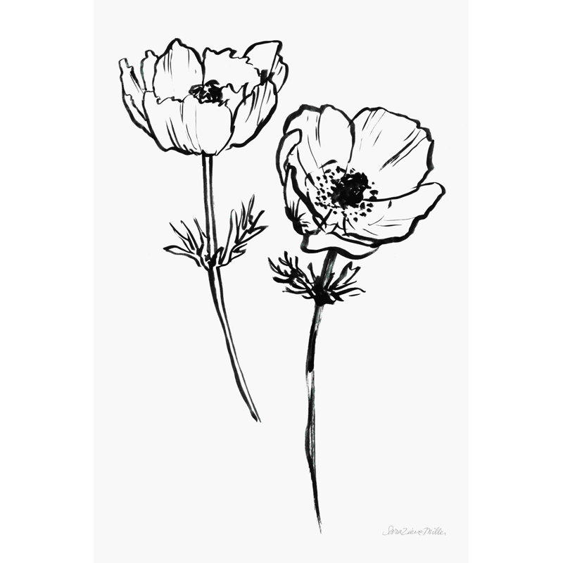 «Ink Anemones I Black» par Sara Zieve Miller - Peinture, H 18 po x l 12 po, Toile tendue