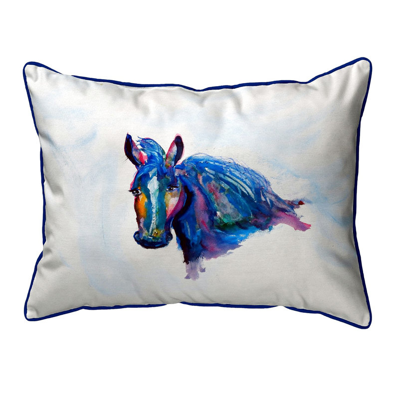  Housse de coussin rectangulaire d'extérieur Old Insert, 16 po x 20 po