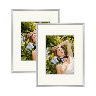 Drennon Metal Picture Frame with Mat