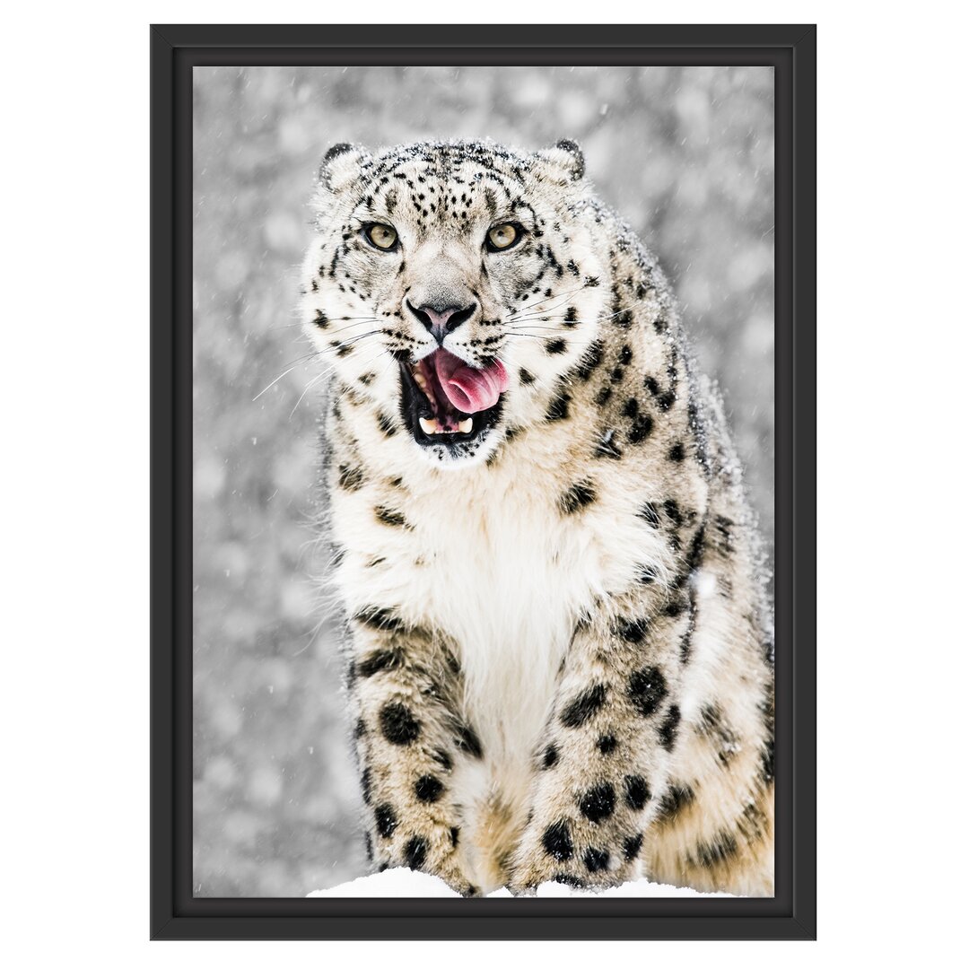 Gerahmtes Wandbild LeopardSchnee