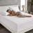 Boden Allergy-free Dust Mite Free Mattress Pad-357552652