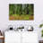 Alvord Muir Woods Forest-108700359