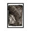 «Fern I» par Debra Van Swearingen - reproduction d'art sur toile tendue-20146020-72576437-72576438