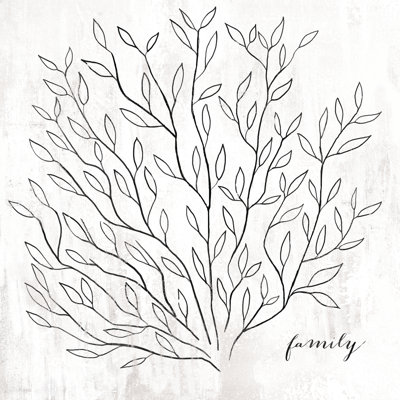 Leafy Branches Drawing - Wrapped Canvas Print