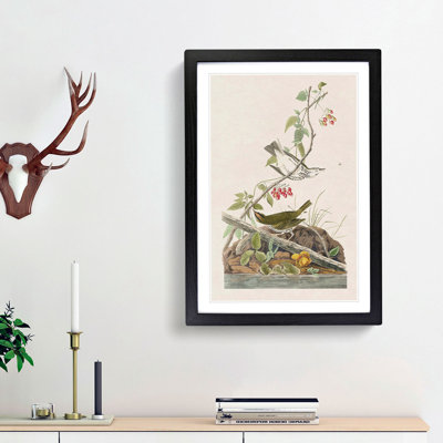 Golden-Crowned Thrush by John James Audubon - Picture Frame Art Print