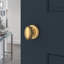 Ellipse Single Dummy Door Knob with Traditional Round Rose-22034707