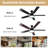 Ceiling Fan with LED Lights-337638972