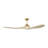 Maverick Smart 60 LED Indoor Ceiling Fan with Threaded Downrod, blades and Handheld Remote-350651848-350651846