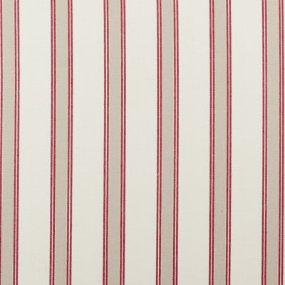 Oxford Fabric