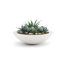 Jardinière en béton peu profond Oceanside-935299275-935299313
