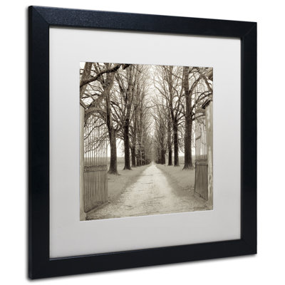 Alan Blaustein, «Veneto Giardini I», reproduction de photo encadrée