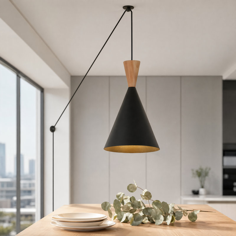 Modern Plug-in Pendant Light Fixtures