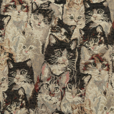 Cat's Meow Fabric