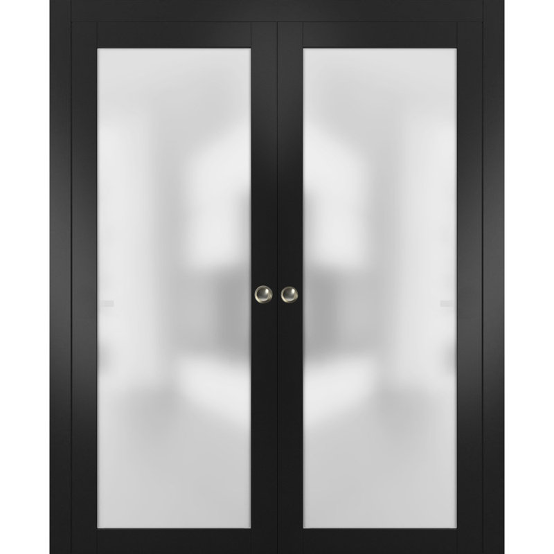 Portes coulissantes en verre givré Planum, Noir mat, 84 po x 96 po