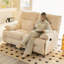 Fauteuil inclinable moderne, simple et ergonomique-111042233