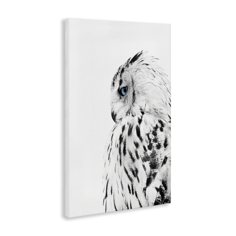 Owl with Strong Gaze Canvas Wall Art by Design Fabrikken bp-993_CN, 24" H x 16" W