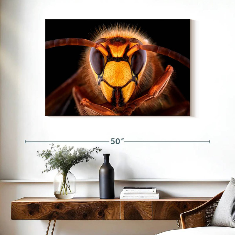 Brampt European Hornet Head