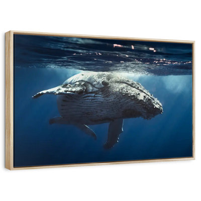 Baleine écumante