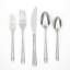 Avron 20 Piece Flatware Set-1282914242