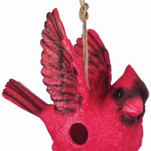 Cabane à oiseaux 9 po x 9,5 po x 5 po Cardinal