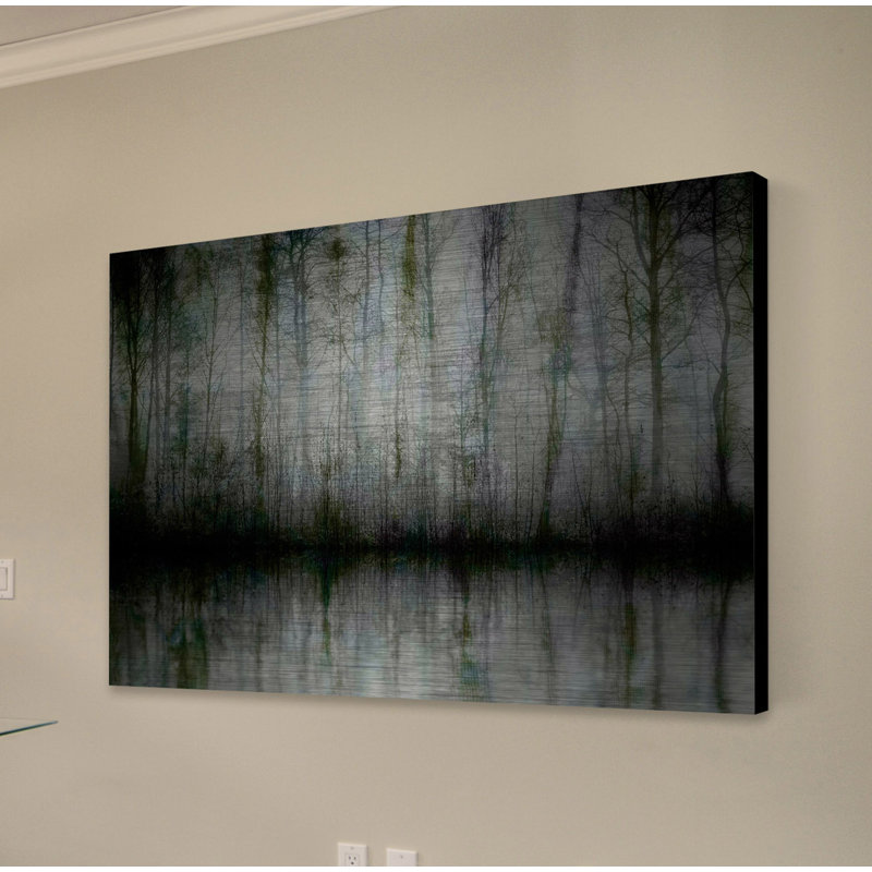 «Wispy Trees Reflect» par Parvez Taj - reproduction de photo sur métal, H 40 po x l 60 po x P 1,5 po