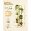 5 Tier Plant Stand